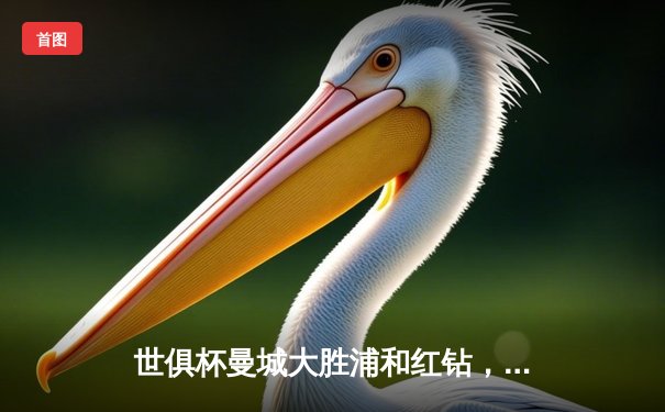 世俱杯曼城大胜浦和红钻，阿尔瓦雷斯梅开二度闪耀全场