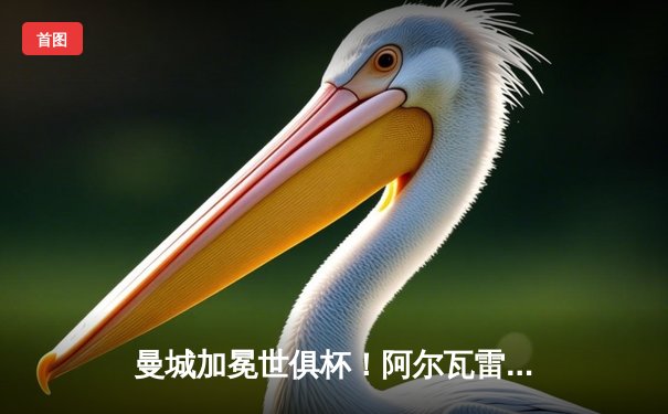 曼城加冕世俱杯！阿尔瓦雷斯双响，蓝月军团首度登顶世界之巅