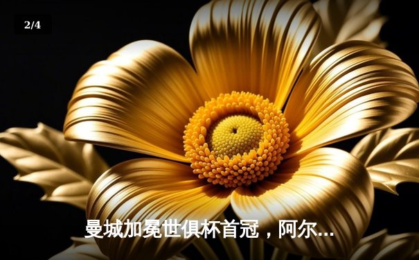 曼城加冕世俱杯首冠，阿尔瓦雷斯闪耀决赛梅开二度 - 2